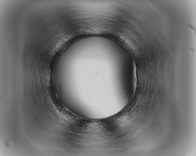 X0000095110544200712211323