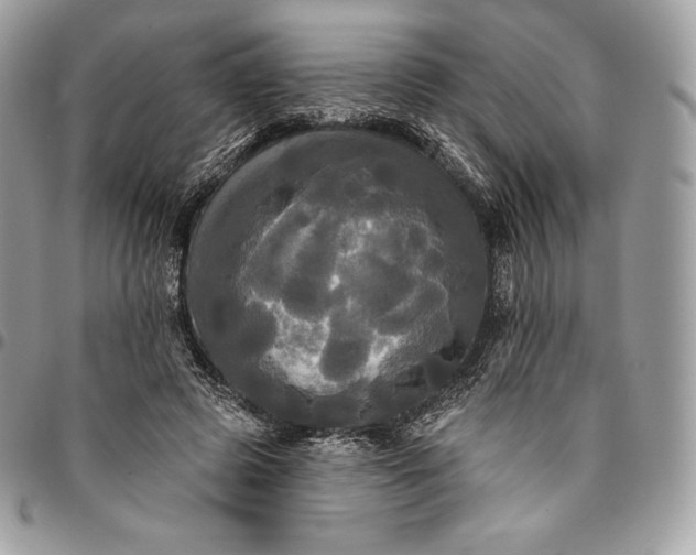 X0000095110545200712211323