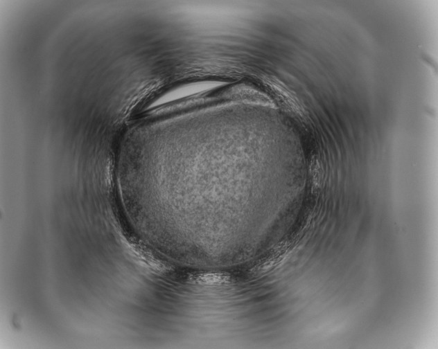 X0000095110546200712211323