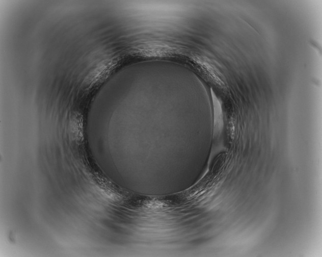 X0000095110547200712211323