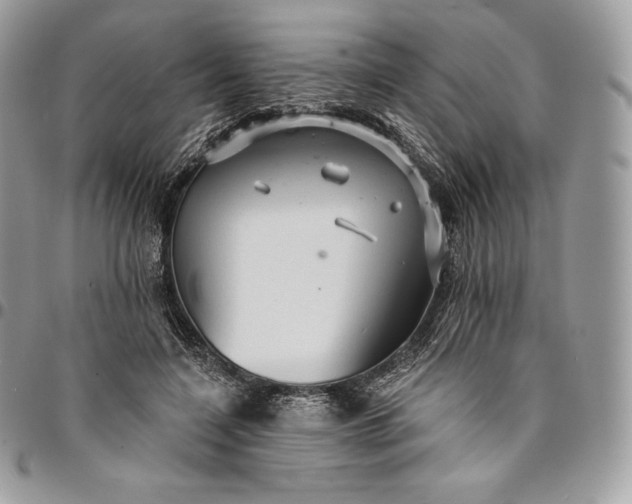 X0000095110548200712211323