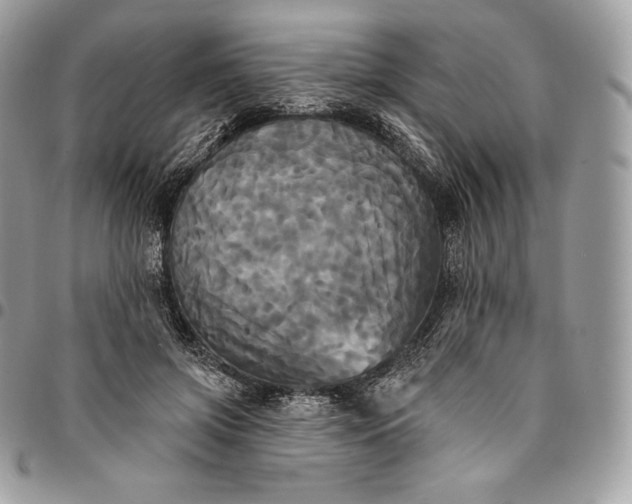 X0000095110549200712211323