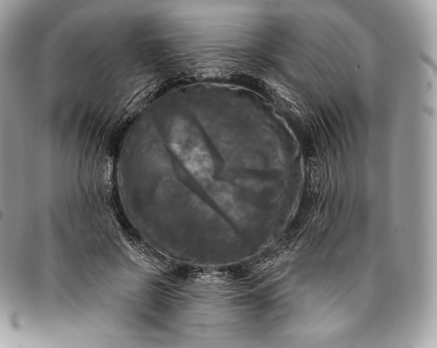 X0000095110550200712211323