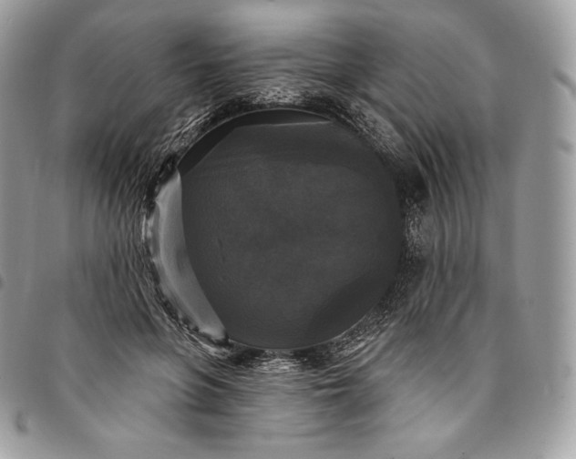 X0000095110551200712211323