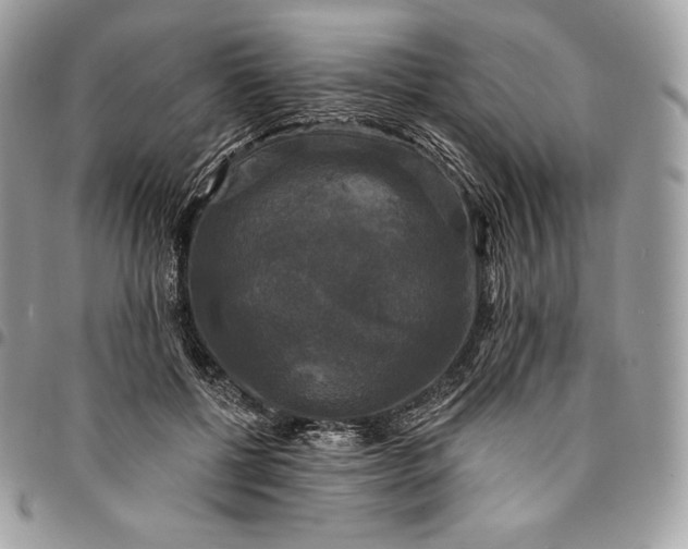 X0000095110552200712211323