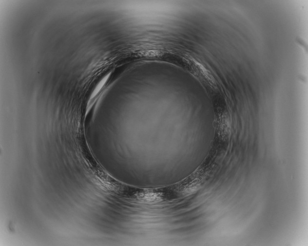 X0000095110553200712211323