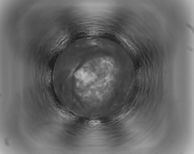 X0000095110554200712211323