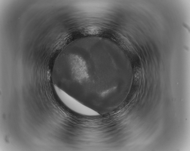 X0000095110555200712211323