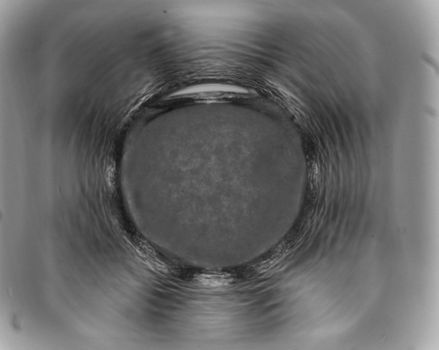 X0000095110556200712211323