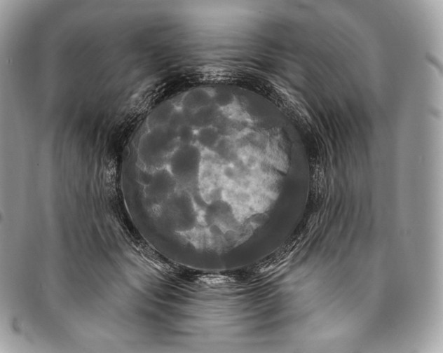 X0000095110557200712211323