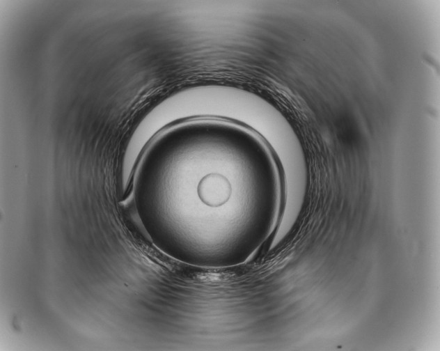 X0000095110558200712211323