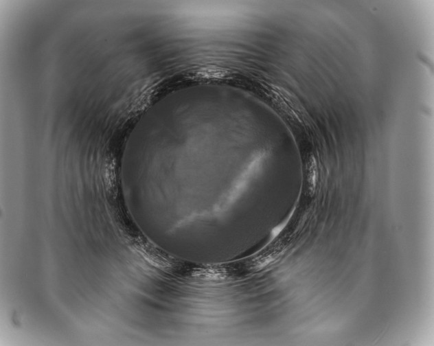 X0000095110559200712211323