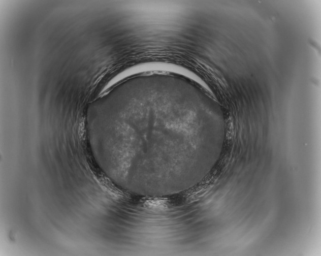 X0000095110560200712211323