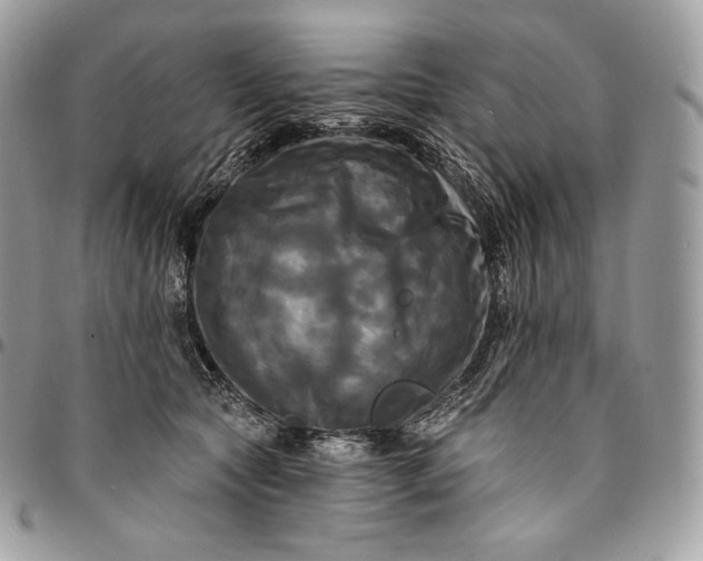 X0000095110561200712211323