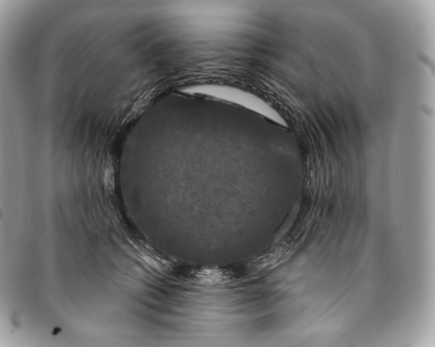 X0000095110562200712211323