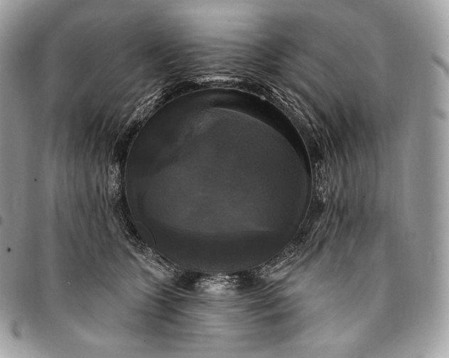 X0000095110563200712211323