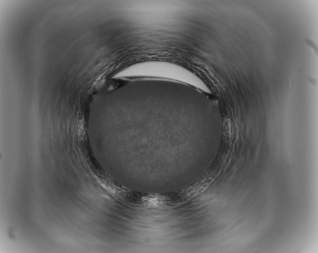 X0000095110564200712211323