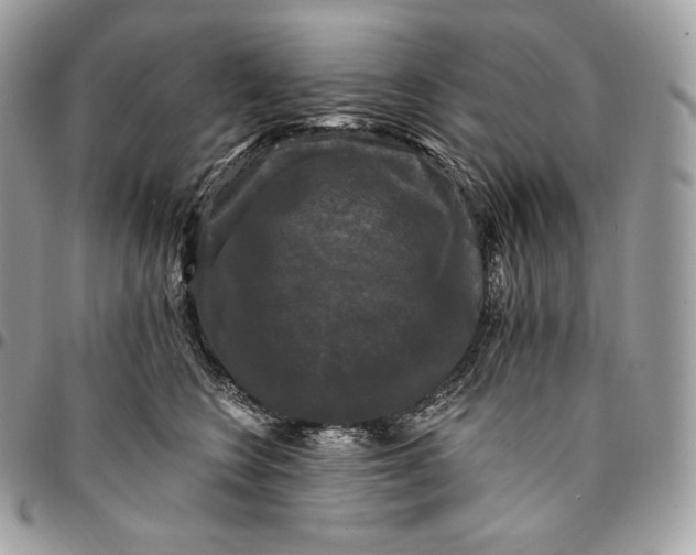 X0000095110566200712211323