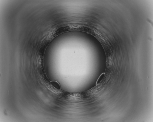 X0000095110567200712211323