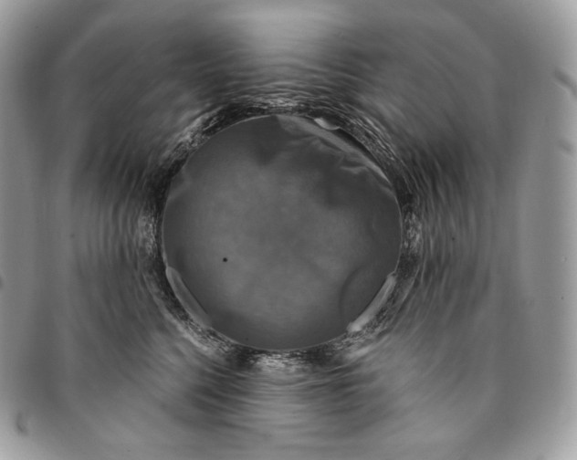 X0000095110568200712211323