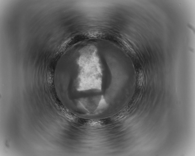 X0000095110569200712211323