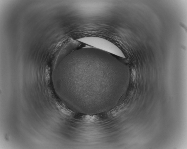 X0000095110570200712211323