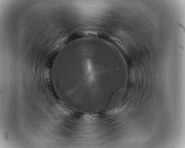 X0000095110571200712211323