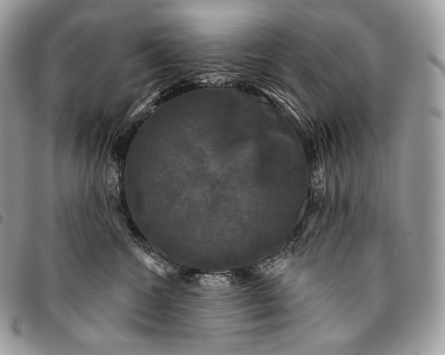 X0000095110572200712211323