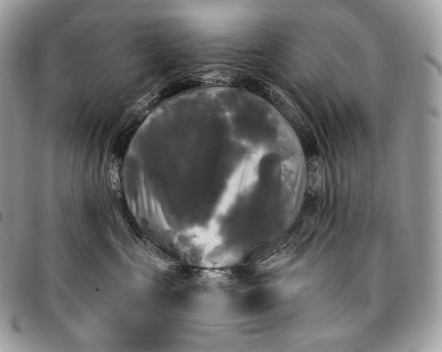 X0000095110573200712211323