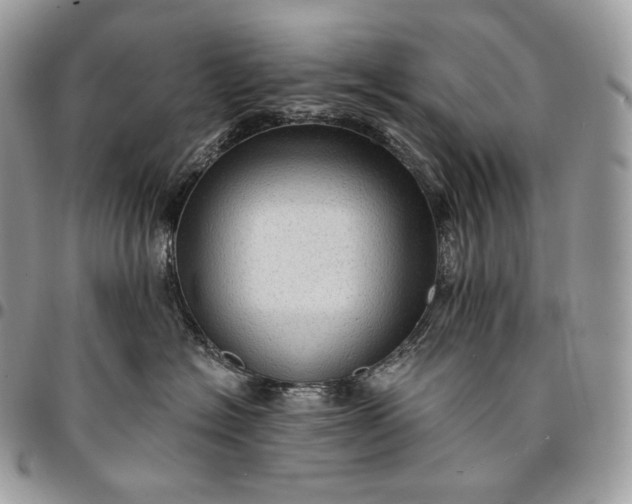 X0000095110574200712211323