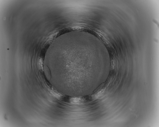 X0000095110575200712211323