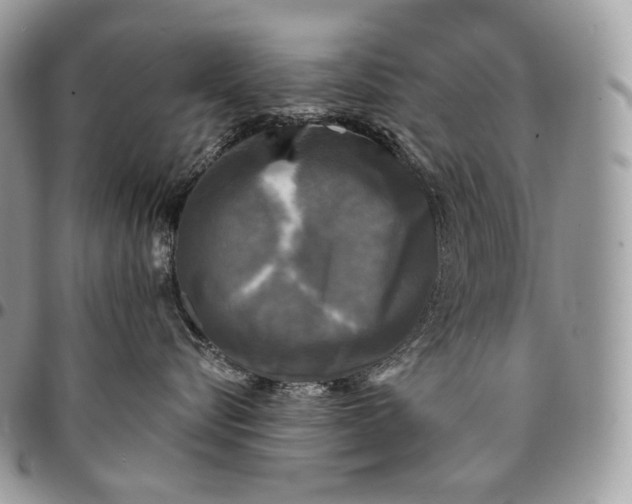 X0000095110576200712211323