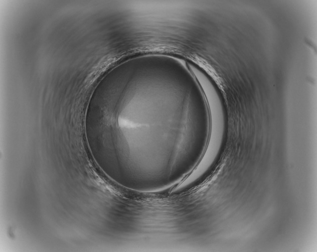 X0000095110577200712211323