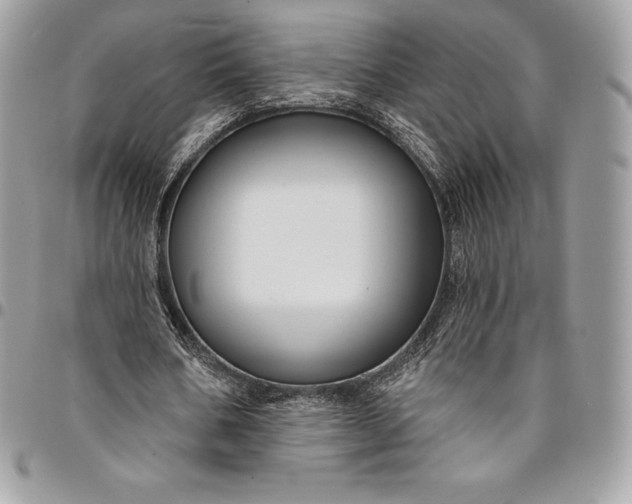 X0000095110578200712211323