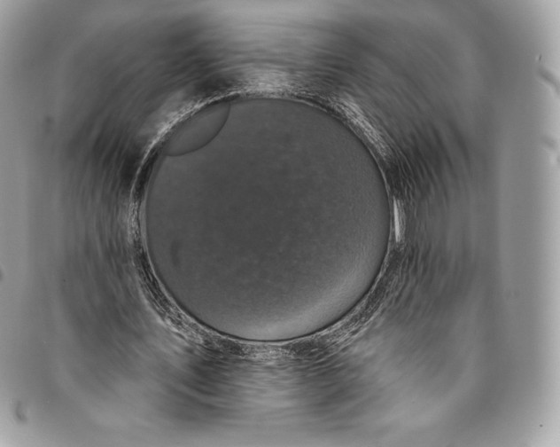 X0000095110579200712211323