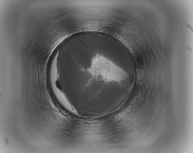 X0000095110580200712211323