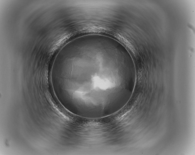 X0000095110581200712211323