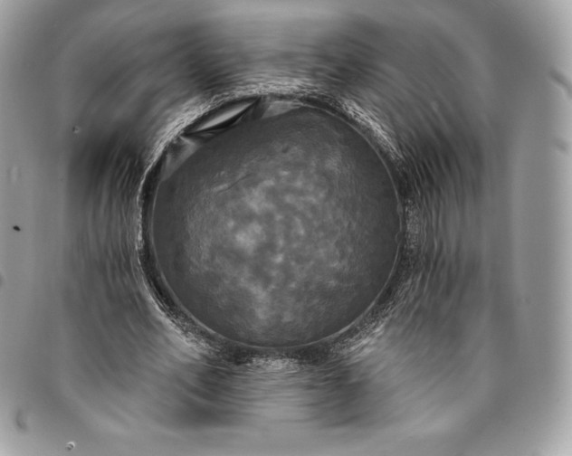 X0000095110582200712211323