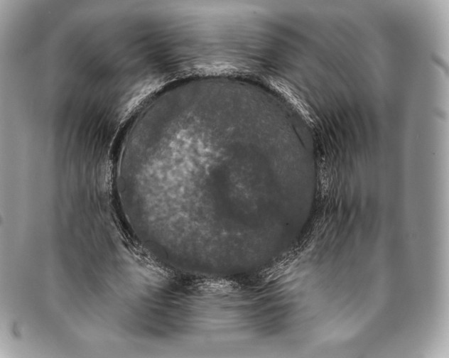 X0000095110583200712211323