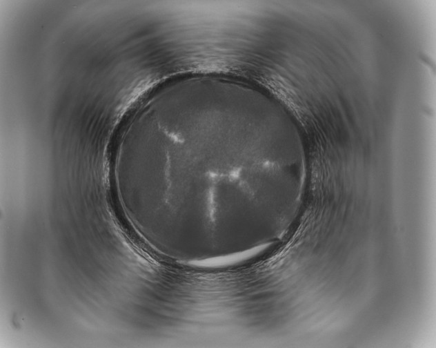 X0000095110584200712211323