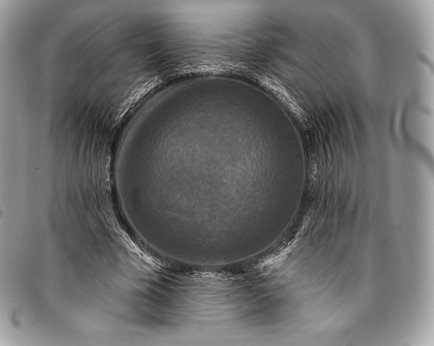 X0000095110585200712211323