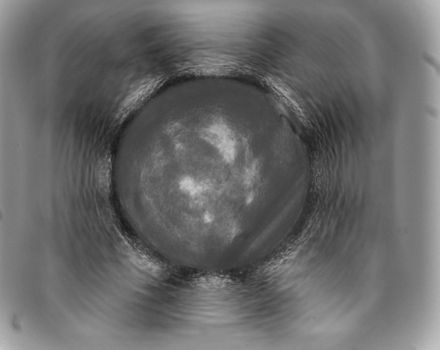 X0000095110586200712211323