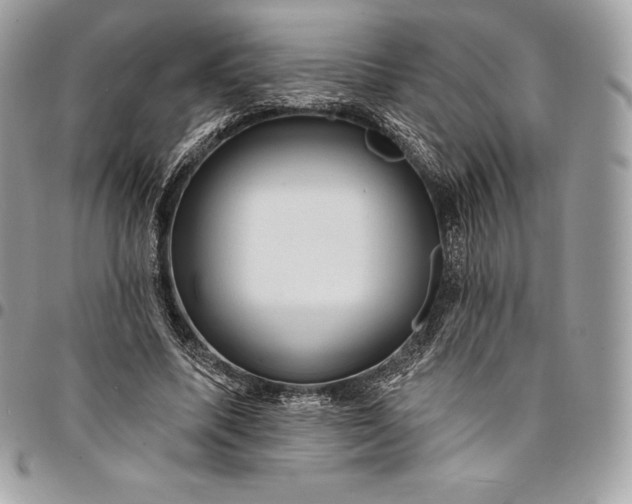 X0000095110587200712211323