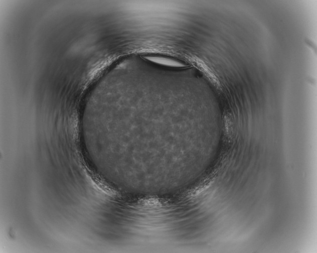 X0000095110588200712211323