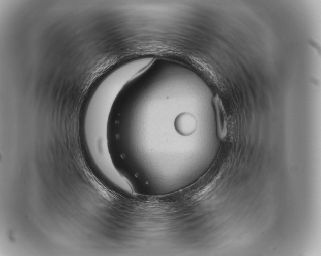 X0000095110589200712211323