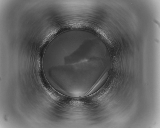 X0000095110590200712211322