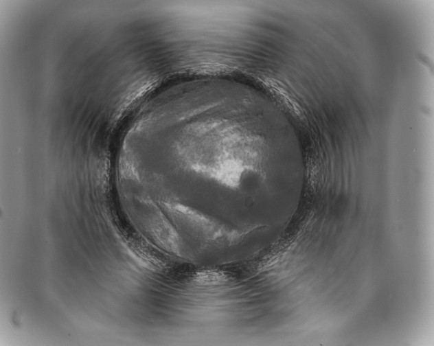 X0000095110591200712211322