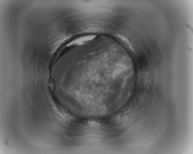 X0000095110592200712211322