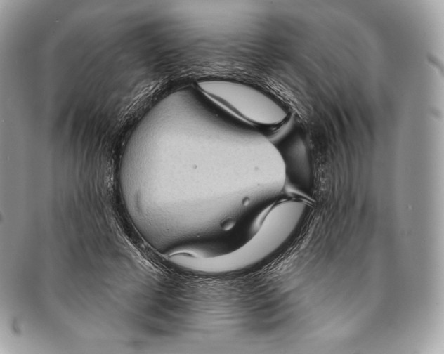 X0000095110593200712211322