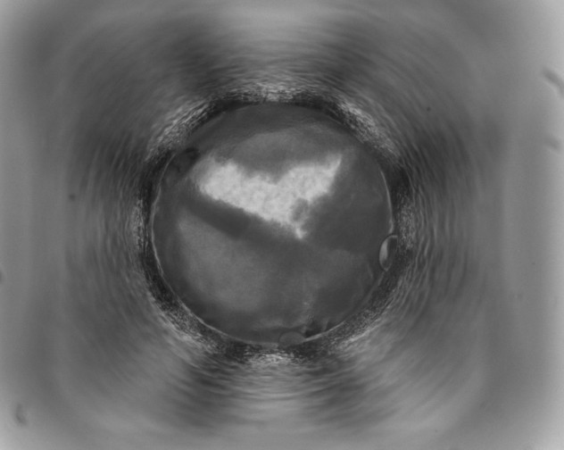 X0000095110594200712211322